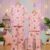 Minnie Mouse Pink